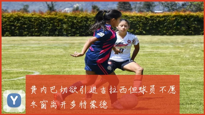 费内巴切欲引进吉拉西但球员不愿冬窗离开多特蒙德
