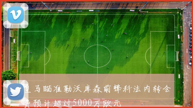 皇马瞄准勒沃库森前锋科法内转会费预计超过5000万欧元